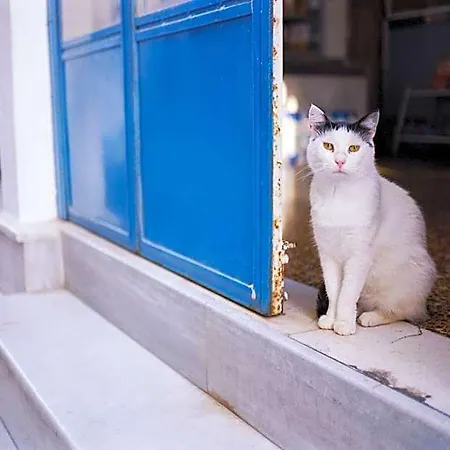 Naxos Center Double Private Balcony Close To The Views Saint George 别墅
